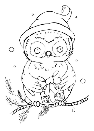 Picture of OWLS GIFT