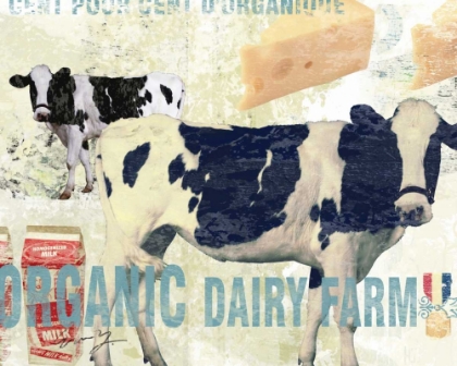 Picture of ORGANIC DAIRY FARM