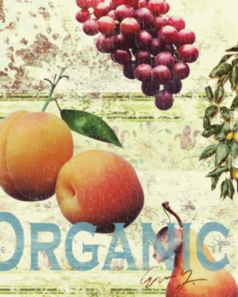 Picture of ORGANIC FRUITS