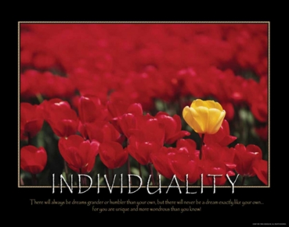 Picture of INDIVIDUALITY