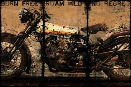 Picture of BORN FREE