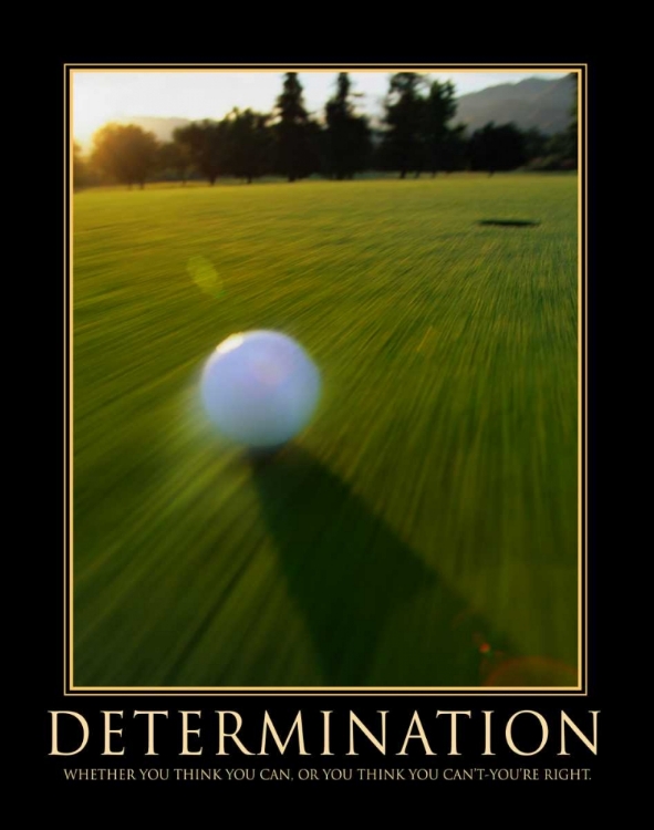 Picture of DETERMINATION