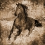 Picture of RUNNING FREE