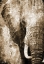 Picture of AFRICAN ANIMALS I - SEPIA