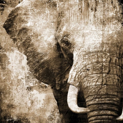Picture of AFRICAN ANIMALS I - SEPIA