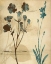Picture of SILOHUETTE WHISPERS I