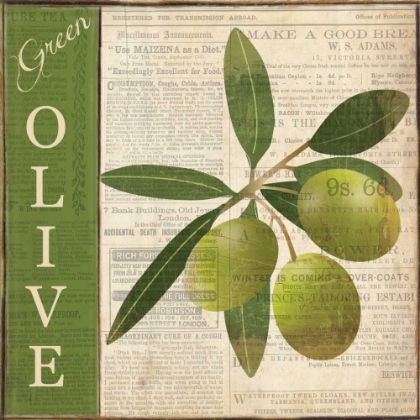 Picture of GREEN OLIVE