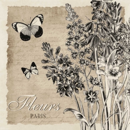 Picture of BORDERED FLEURS PARIS