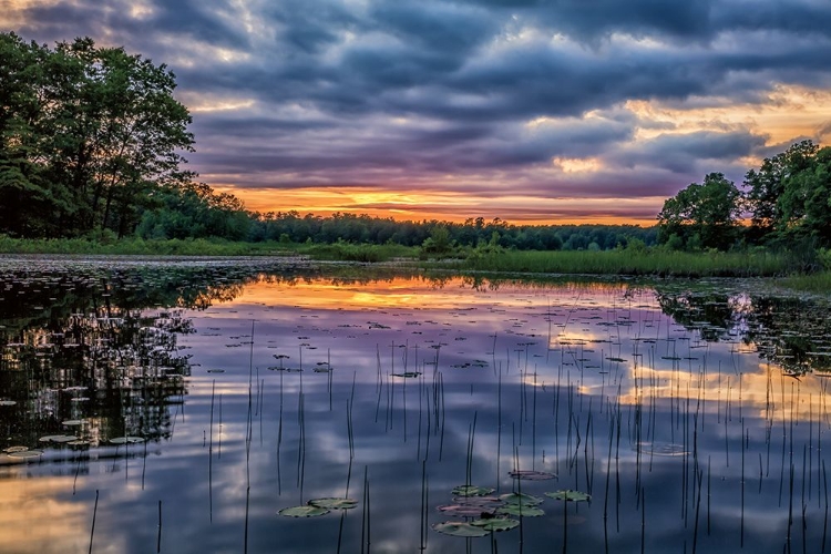 Picture of SUNSET REFLECTIONS