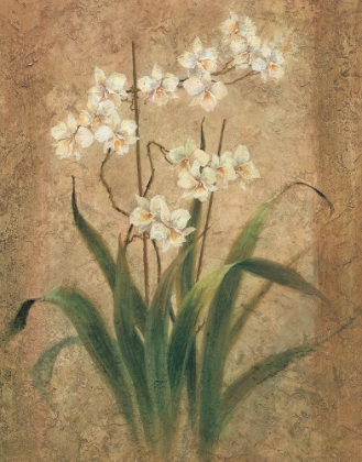 Picture of WHITE LILIES I
