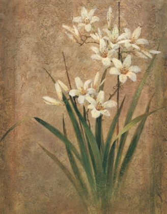 Picture of WHITE LILIES II