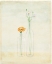 Picture of BOTTLES AND FLOWERS II