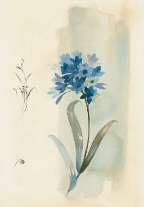 Picture of MODERN BLUE FLORAL