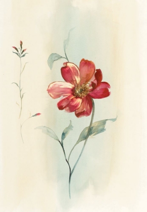 Picture of MODERN RED FLORAL