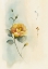 Picture of MODERN YELLOW ROSE
