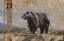 Picture of BEAR I