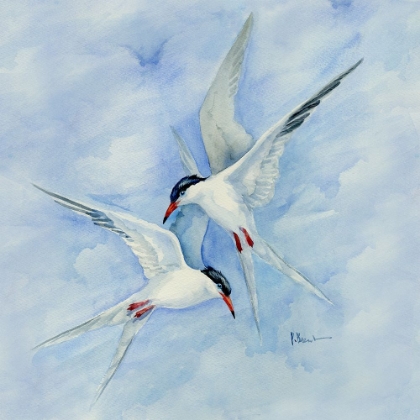 Picture of TERNS IN FLIGHT