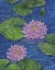 Picture of IMPRESSIONS OF WATER LILIES II