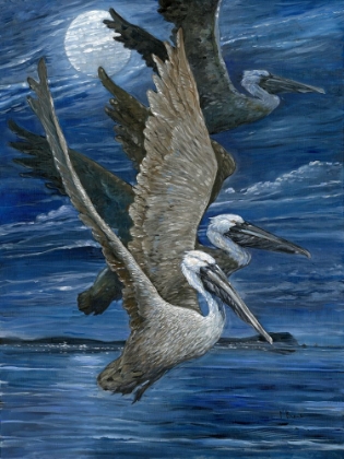 Picture of PELICAN NOCTURNE