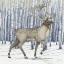Picture of BIRCH REINDEER I