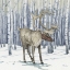 Picture of BIRCH REINDEER III