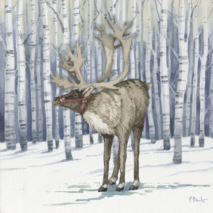 Picture of BIRCH REINDEER IV