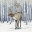 Picture of BIRCH REINDEER IV