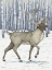 Picture of BIRCH REINDEER VERTICAL I