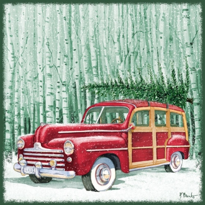 Picture of HOLIDAY DRIFTER IV