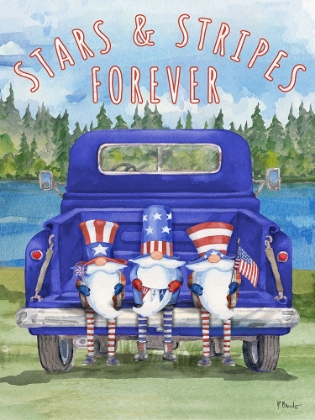 Picture of PATRIOTIC GNOMES TRUCK