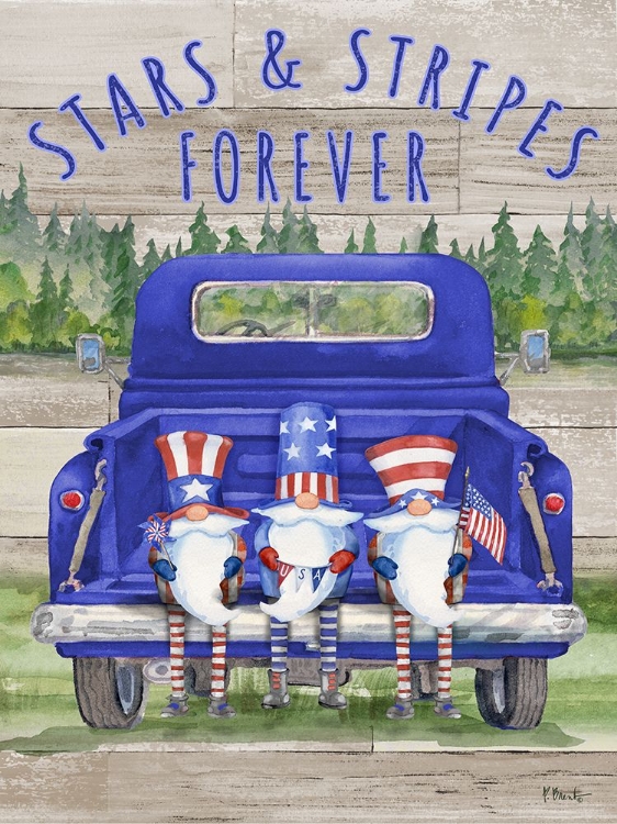 Picture of PATRIOTIC GNOMES TRUCK - BLEND