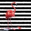 Picture of FLAMINGO SPLASH I