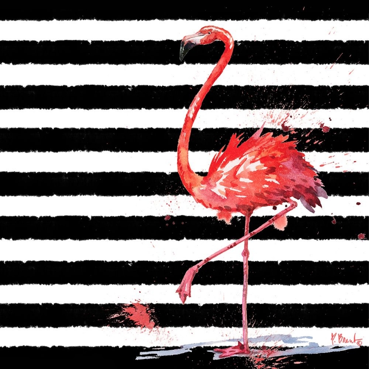 Picture of FLAMINGO SPLASH II