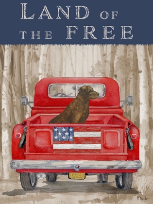 Picture of FREEDOM FOREST TRUCK I