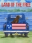 Picture of FREEDOM LAKE TRUCK I