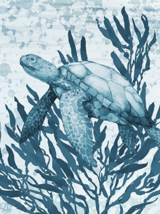 Picture of CALYPSO TURTLES VERTICAL II - INDIGO