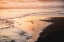 Picture of SUNSET SEAGULLS AND PACIFIC OCEAN II