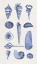 Picture of BLUE SHELLS I