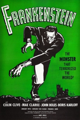 Picture of FRANKENSTEIN THE MONSTER