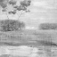 Picture of MORNING FIELD