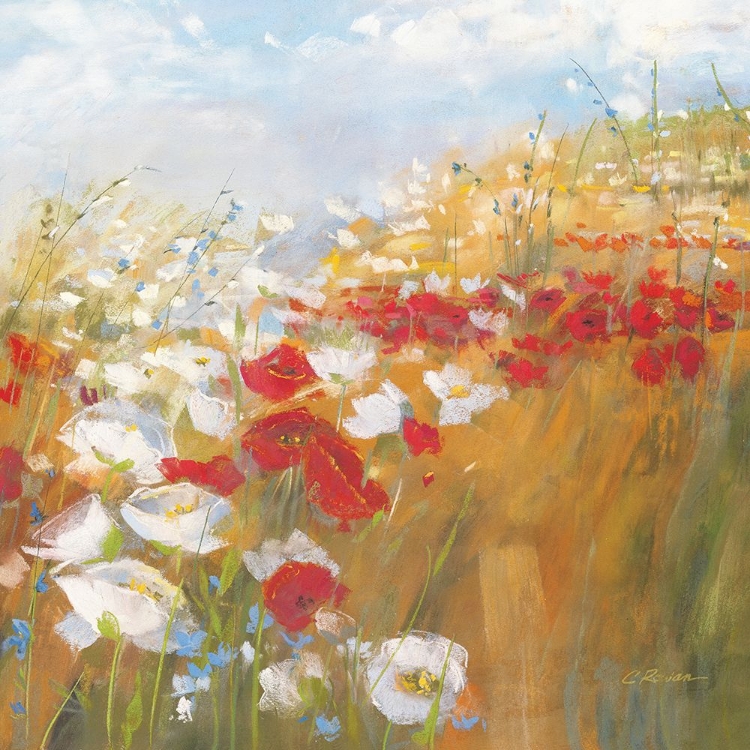 Picture of POPPIES AND LARKSPUR II