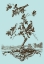 Picture of AVIAN TOILE I