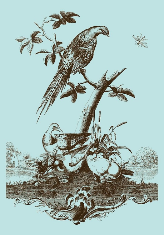 Picture of AVIAN TOILE III