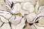 Picture of NEUTRAL GARDEN BEAUTY