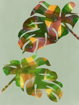 Picture of TROPICAL MONSTERA III