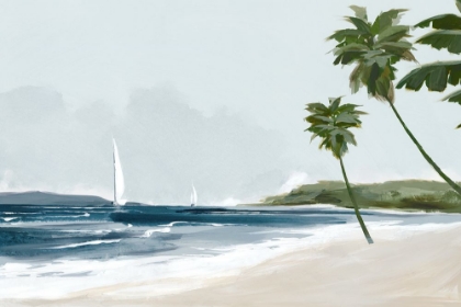Picture of SECLUDED PALM BEACH