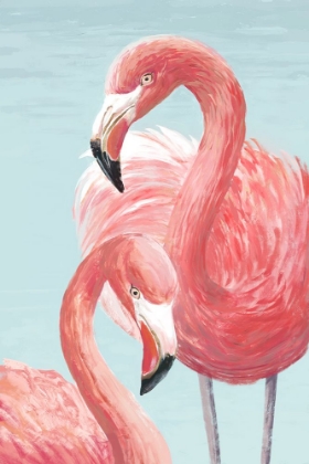 Picture of MAJESTIC FLAMINGOS