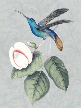 Picture of BIRD AND BLOOM II