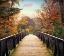 Picture of AUTUMN ENCOUNTER