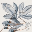 Picture of VINTAGE BLUE BOTANICAL II